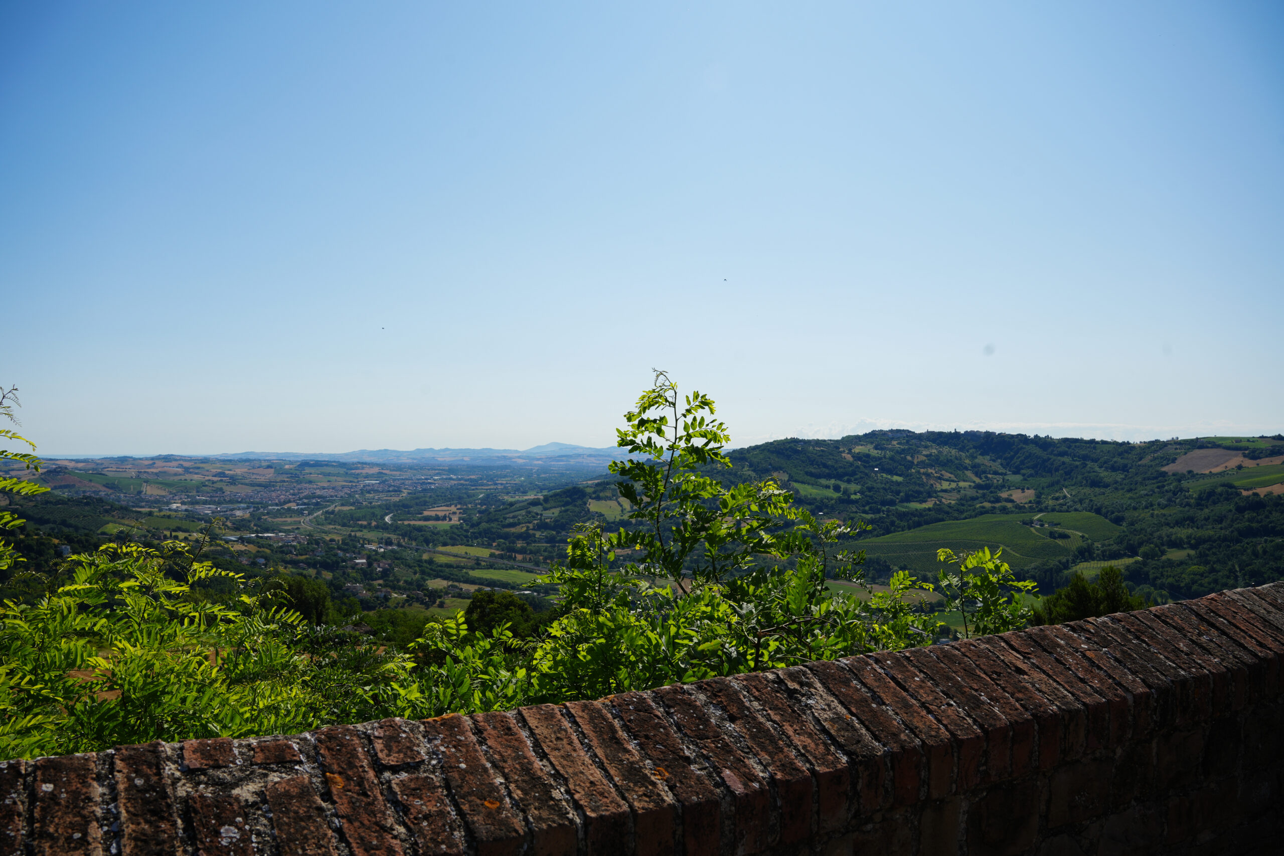 Belvedere di Rosora