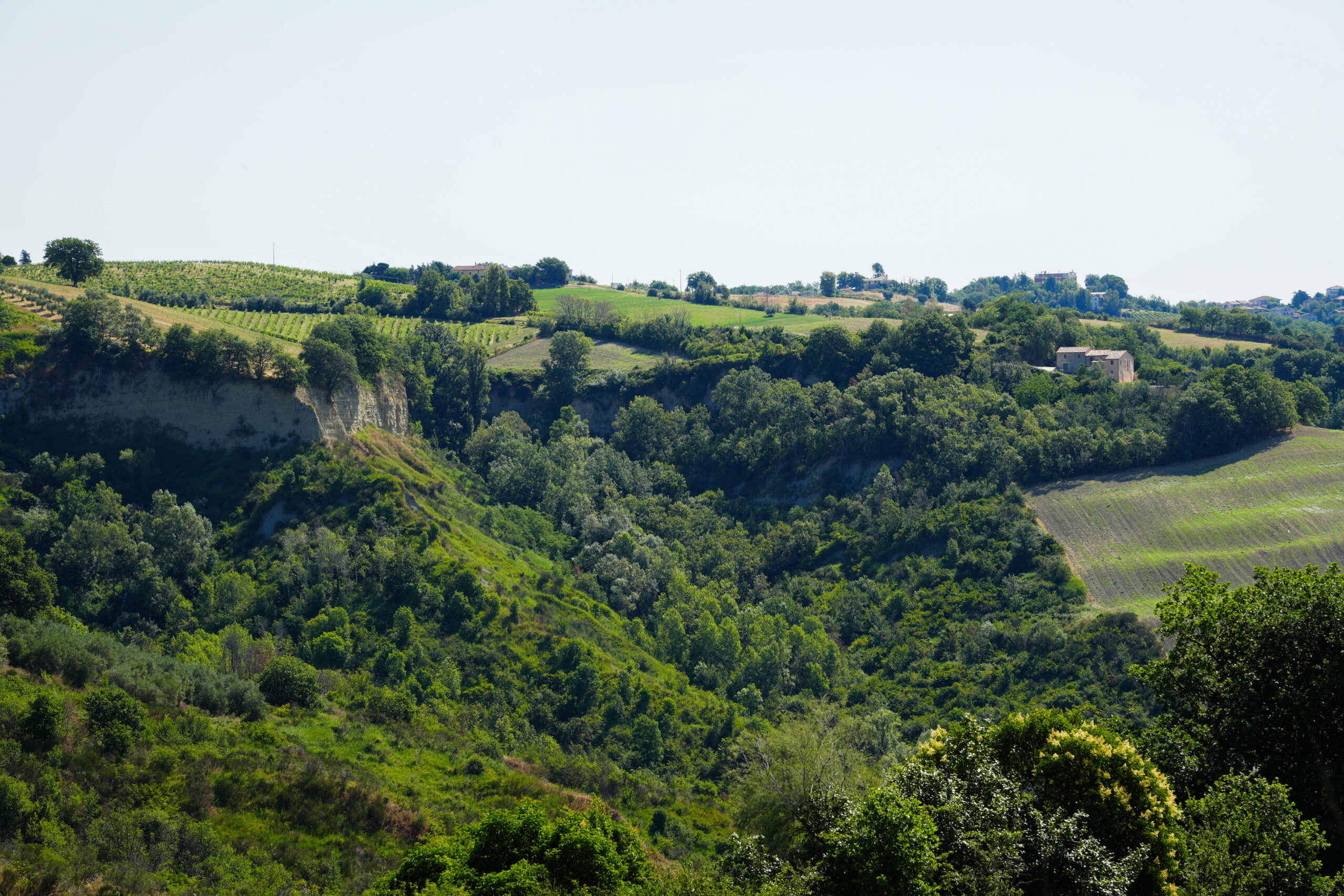 I Calanchi di Rosora