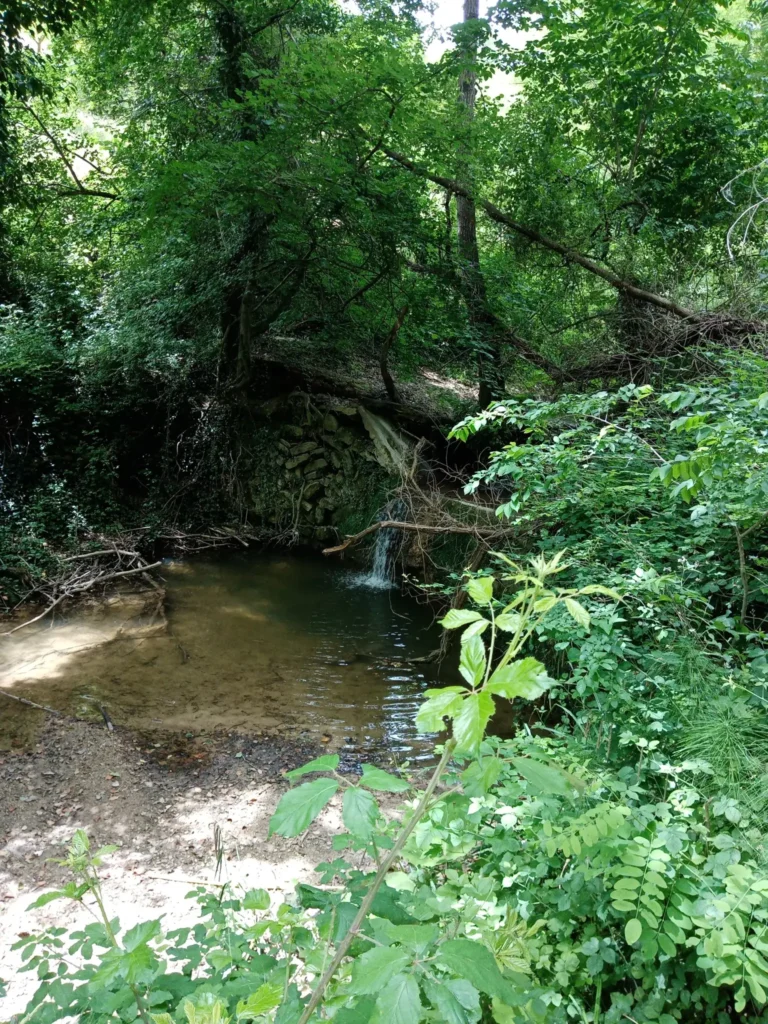 Sentiero del Fosso di Rosora